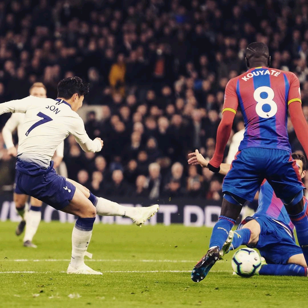 项运动的 项运动的